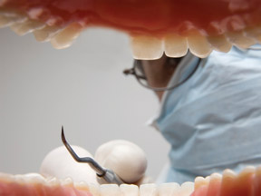Will growing new teeth come sooner than we think?